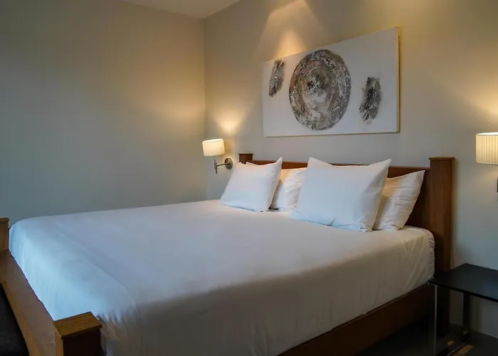 Hotel Blau Caldas Oviedo